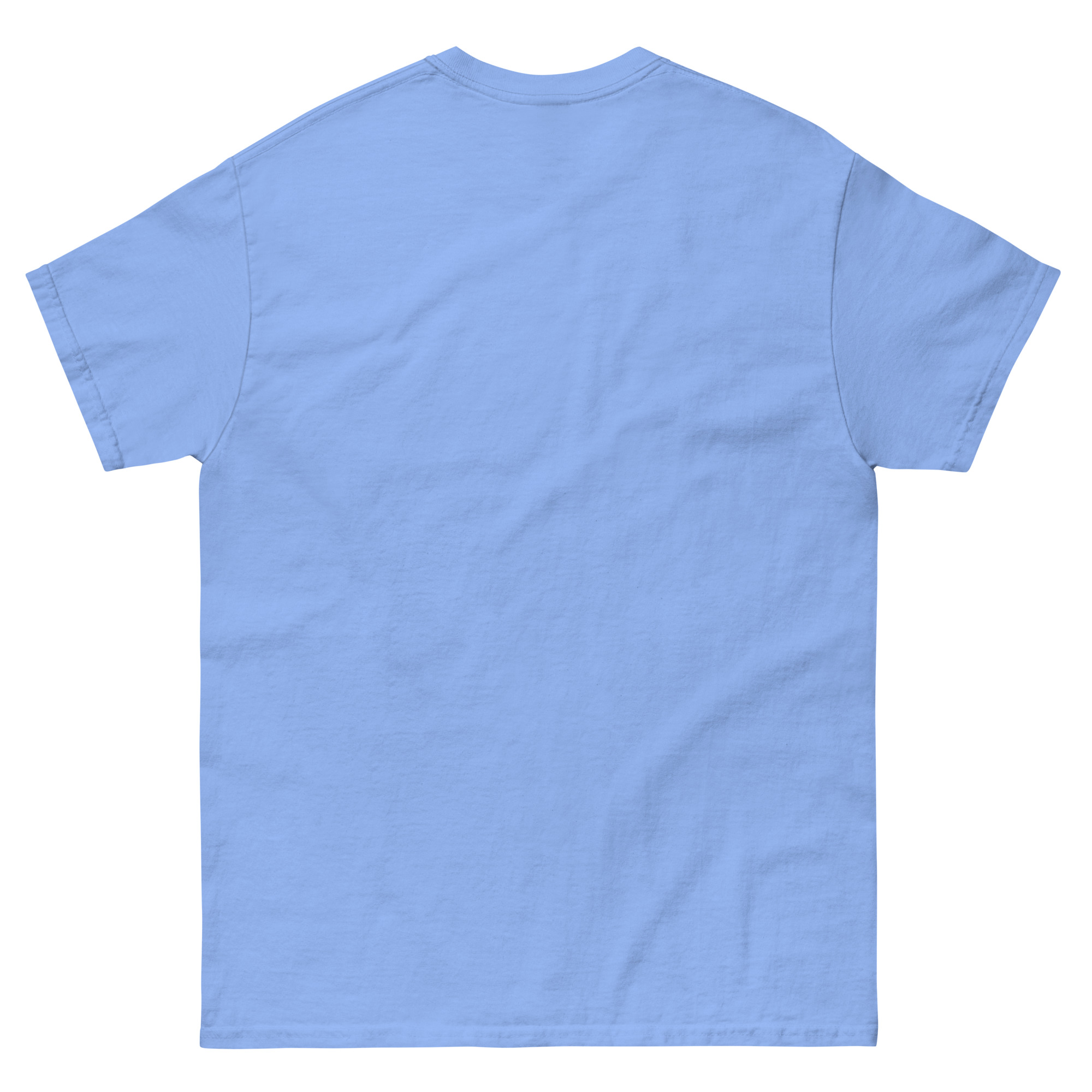 mens-classic-tee-carolina-blue-back-6630b26443582.jpg