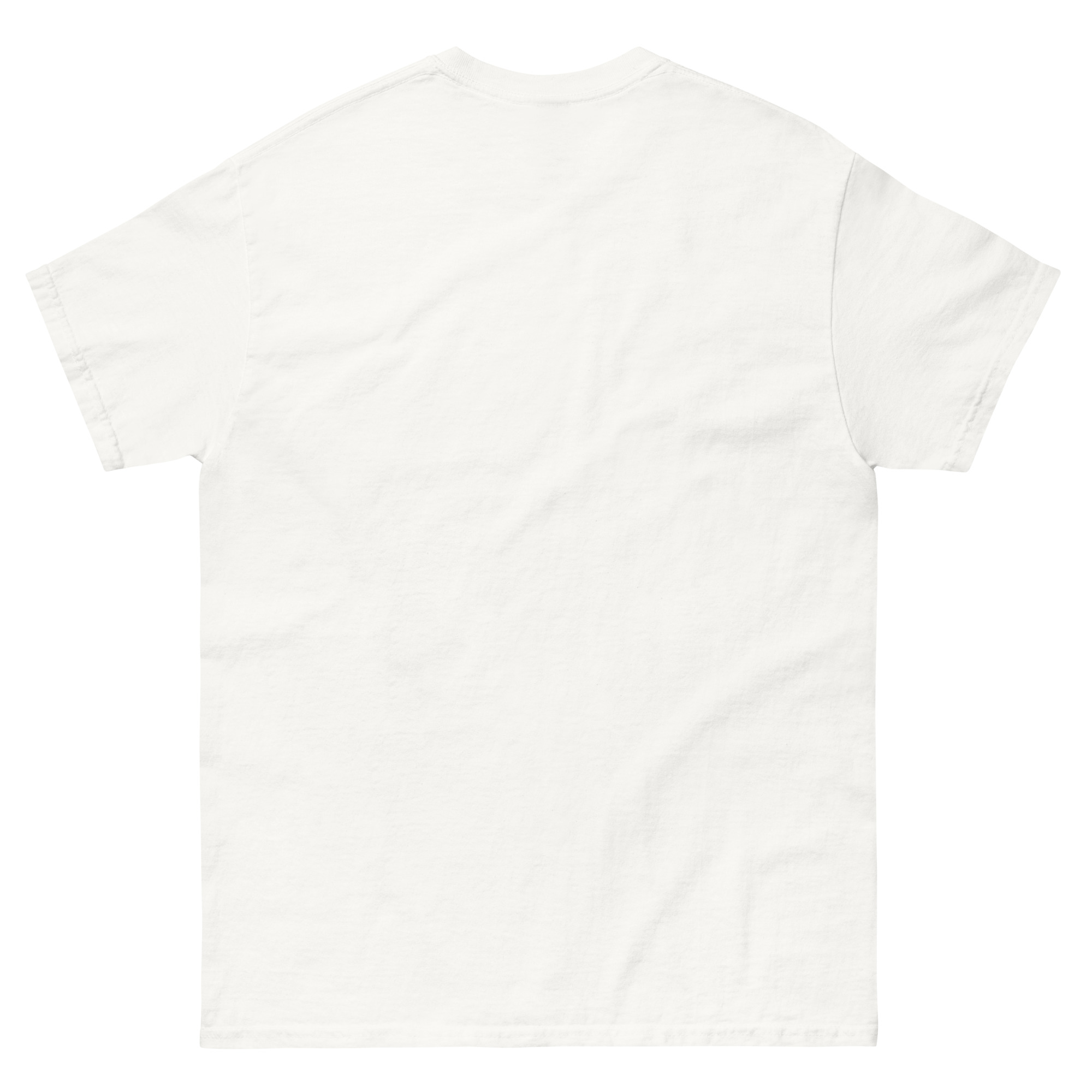 mens-classic-tee-white-back-6630b6f88e6f7.jpg