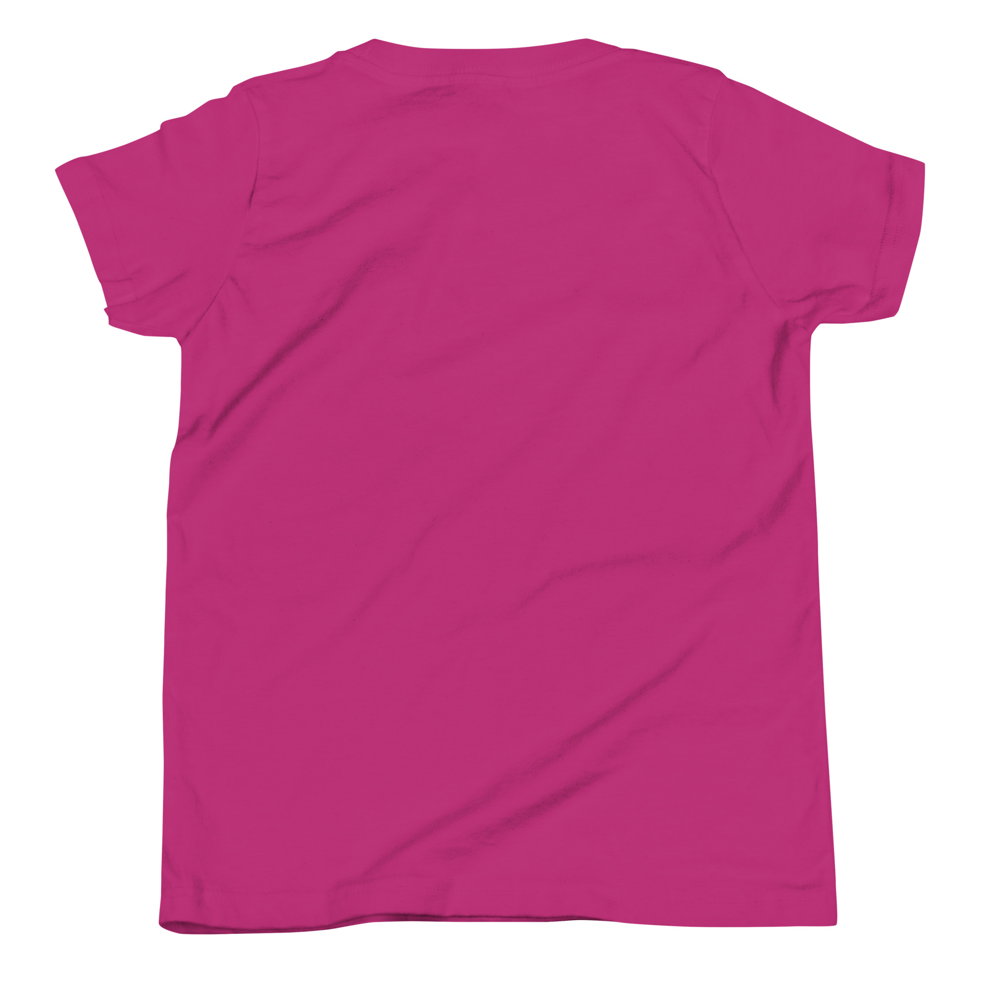 youth-staple-tee-berry-back-666a992a83638.jpg