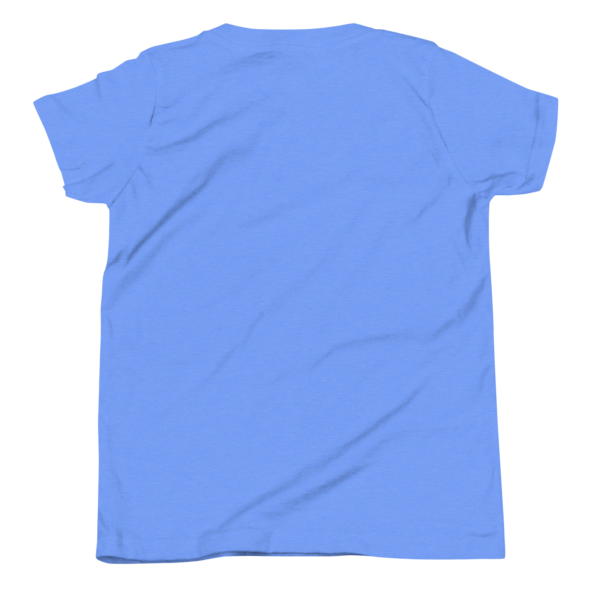 youth-staple-tee-heather-columbia-blue-back-666a9975ea59b.jpg
