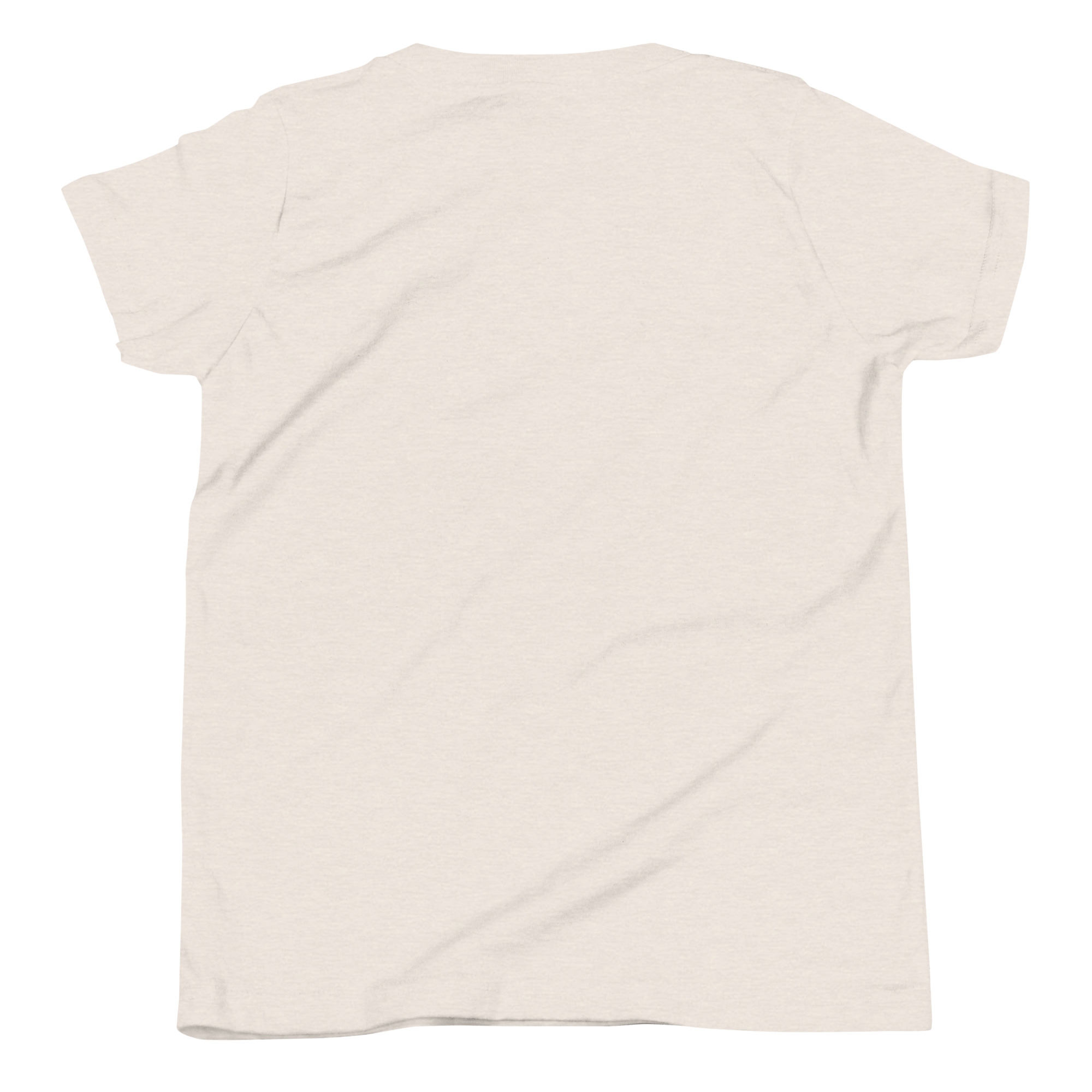youth-staple-tee-heather-dust-back-666a9975ec1e7.jpg
