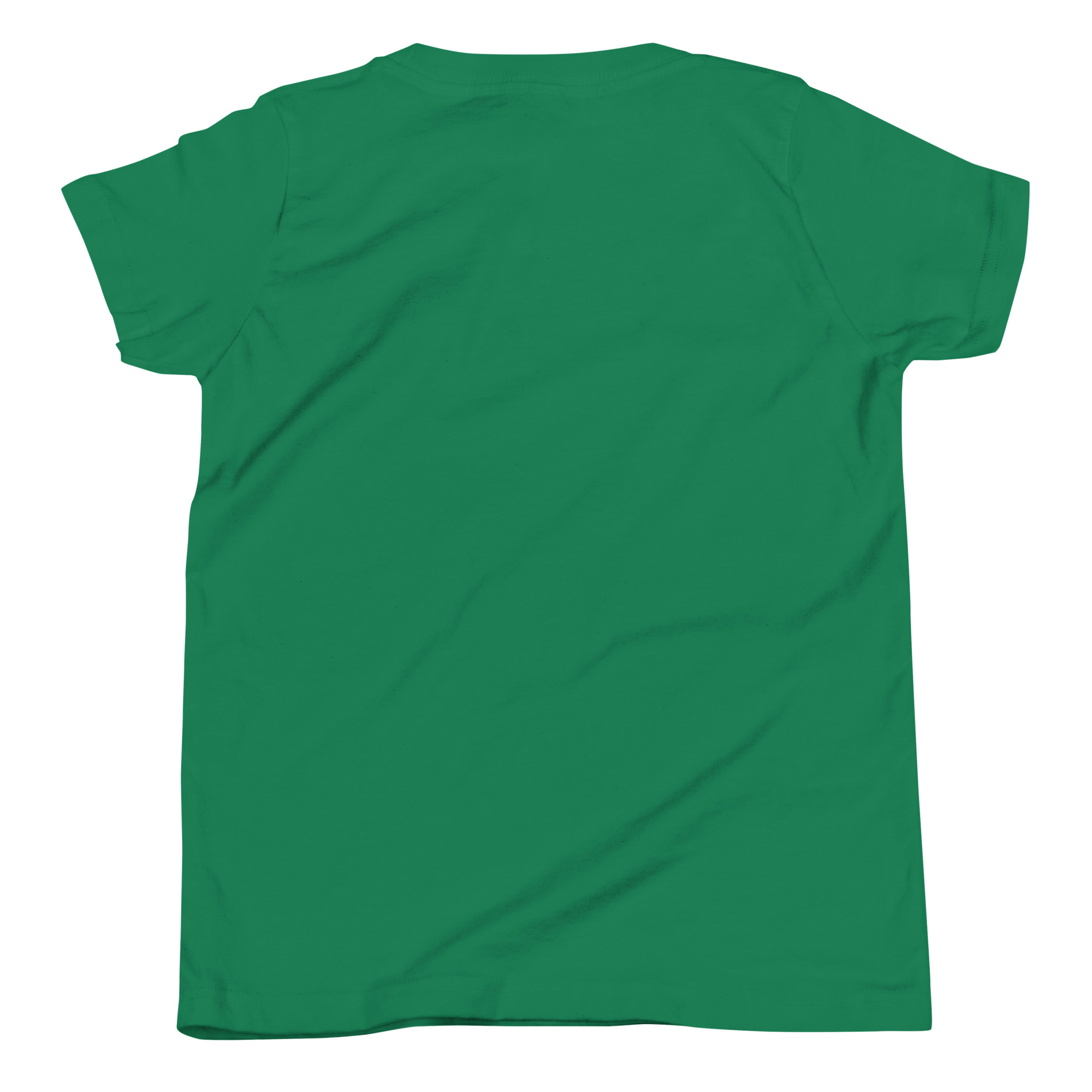 youth-staple-tee-kelly-back-666a992a877a7.jpg